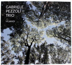 Gabriele Pezzoli Trio - Viljandi