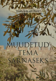 Muudetud-tema-sarnaseks-Nee