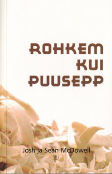 Rohkem-kui-puusepp