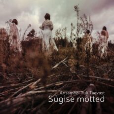 Ansambel Tuli Taevast - Sügise mõtted