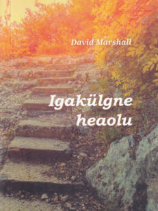 Igakülgne-heaolu