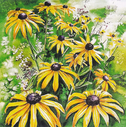 Postkaart-Alliku-kollased-lilled