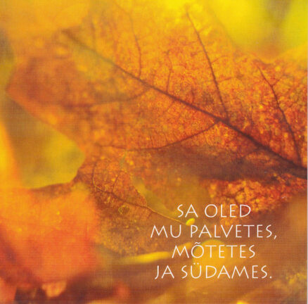 Postkaart-Sa-oled-mu-palvetes