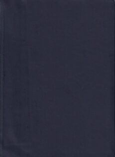 Piibli-konkordants_vene_k_tumesinine
