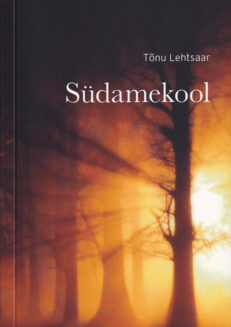 Südamekool