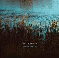 Vaiksete Vete Trio - Ühel hommikul