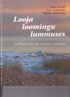 Looja-loomingu-lummuses
