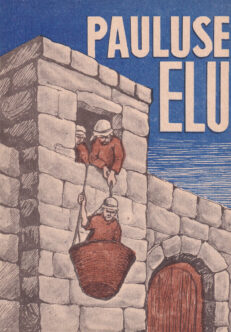 Pauluse-elu-värviraamat